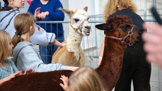 Zoopark 2026 po raz drugi w tym roku na Targach Lublin