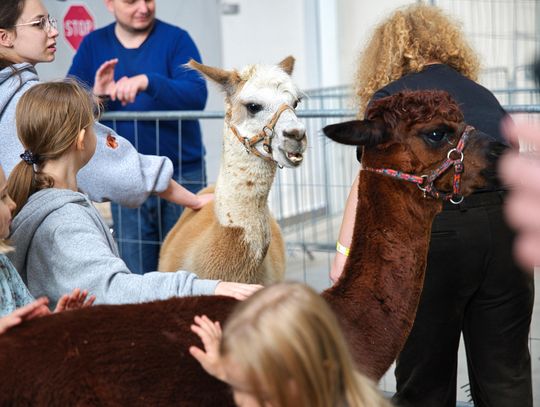 Zoopark 2026 po raz drugi w tym roku na Targach Lublin
