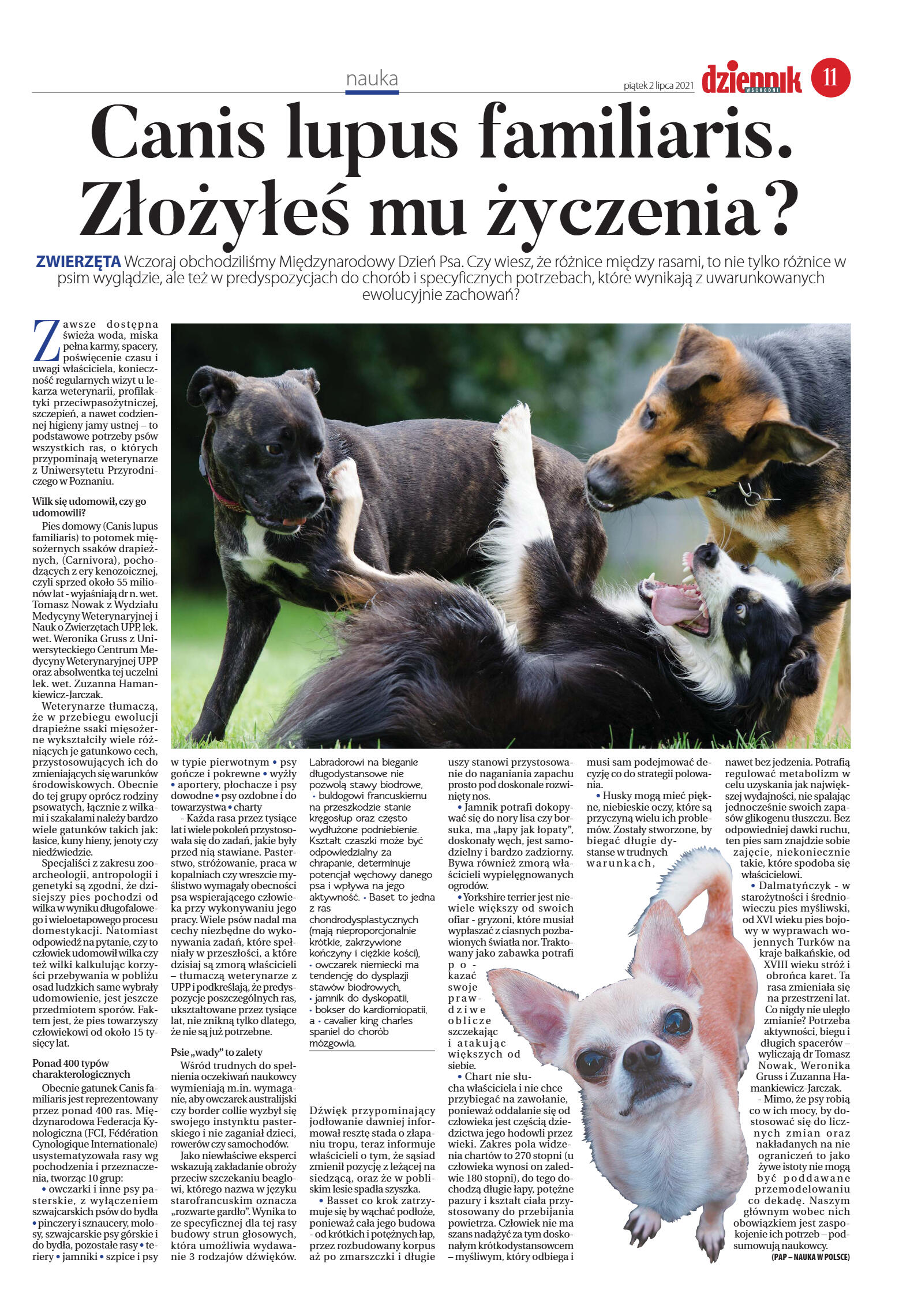 Wydanie główne  - strona 11