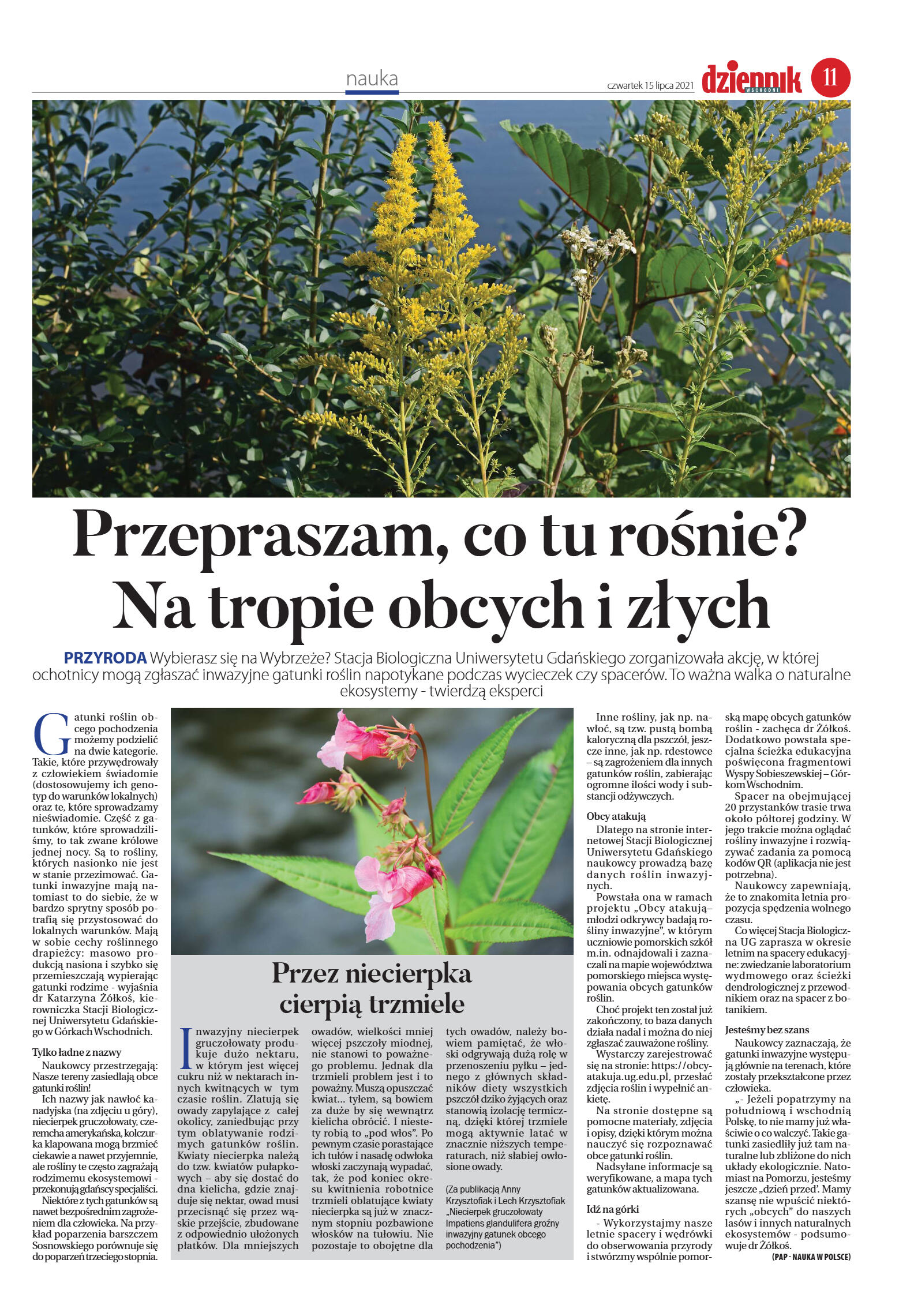 Wydanie główne - strona 11