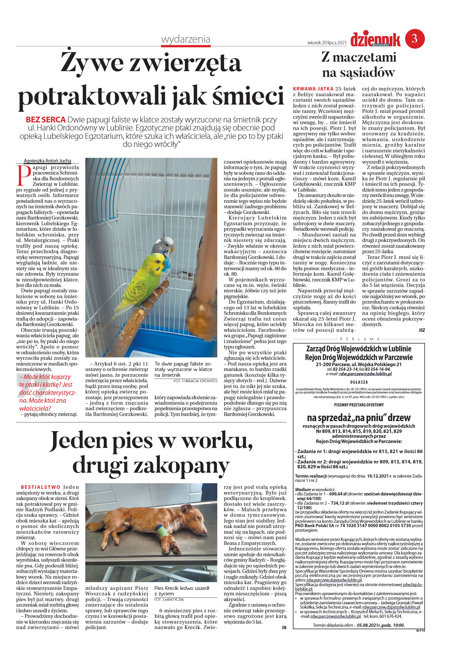 Wydanie główne - strona 3