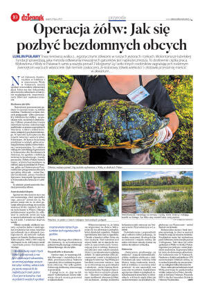 Wydanie główne - strona 10