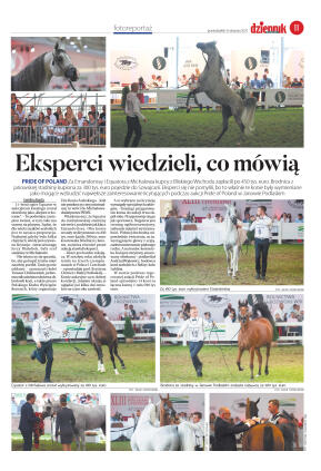 Wydanie główne - strona 11