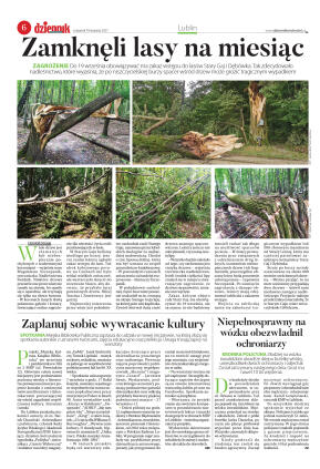 Wydanie główne - strona 6