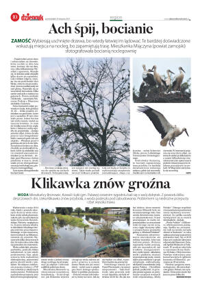 Wydanie główne - strona 10