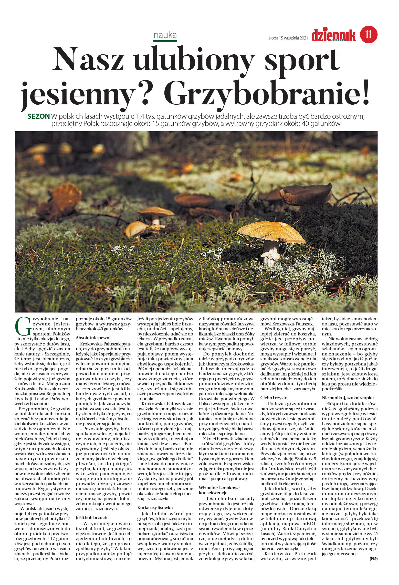 wydanie główne - strona 11