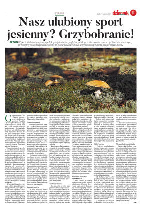 wydanie główne - strona 11