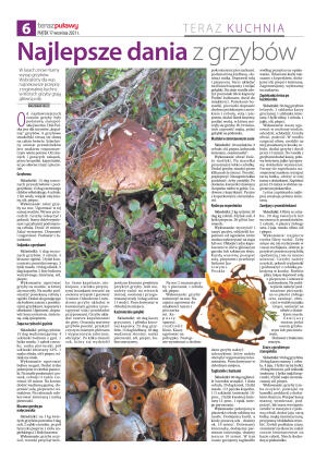 Teraz Puławy - strona 6