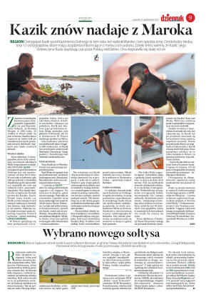 Wydanie główne - strona 9