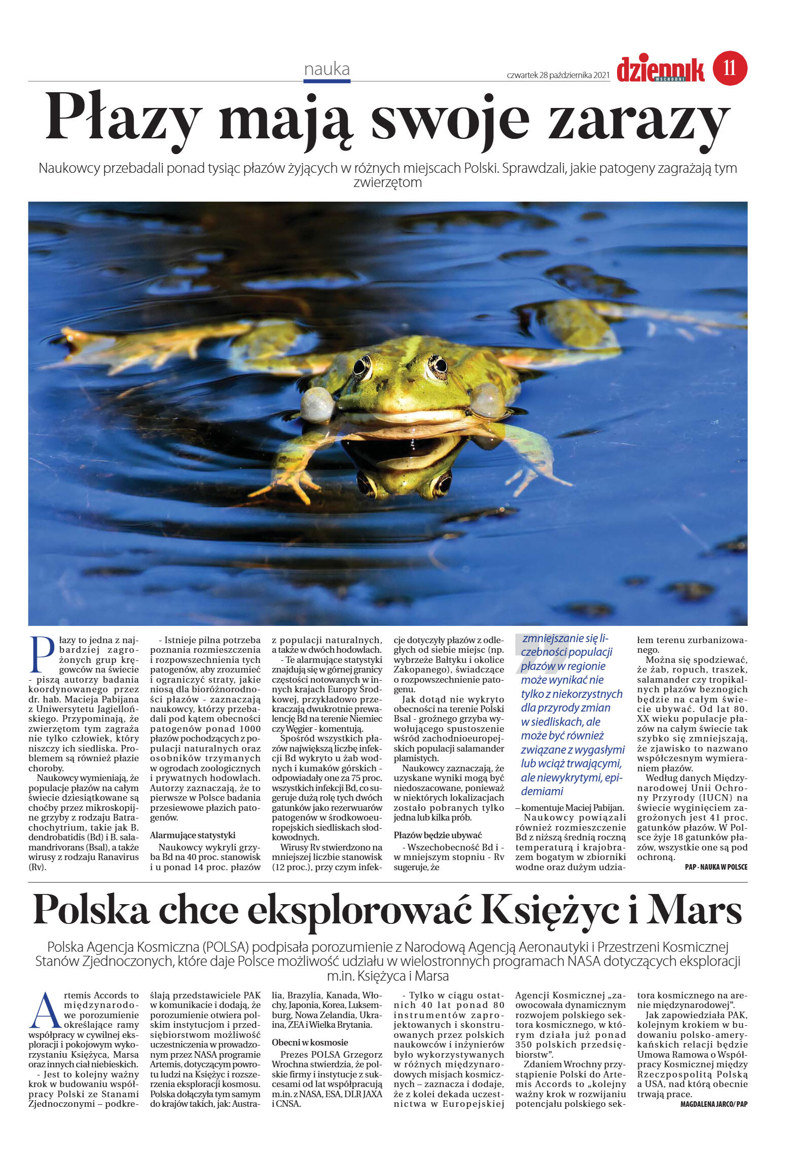 Wydanie główne - strona 11