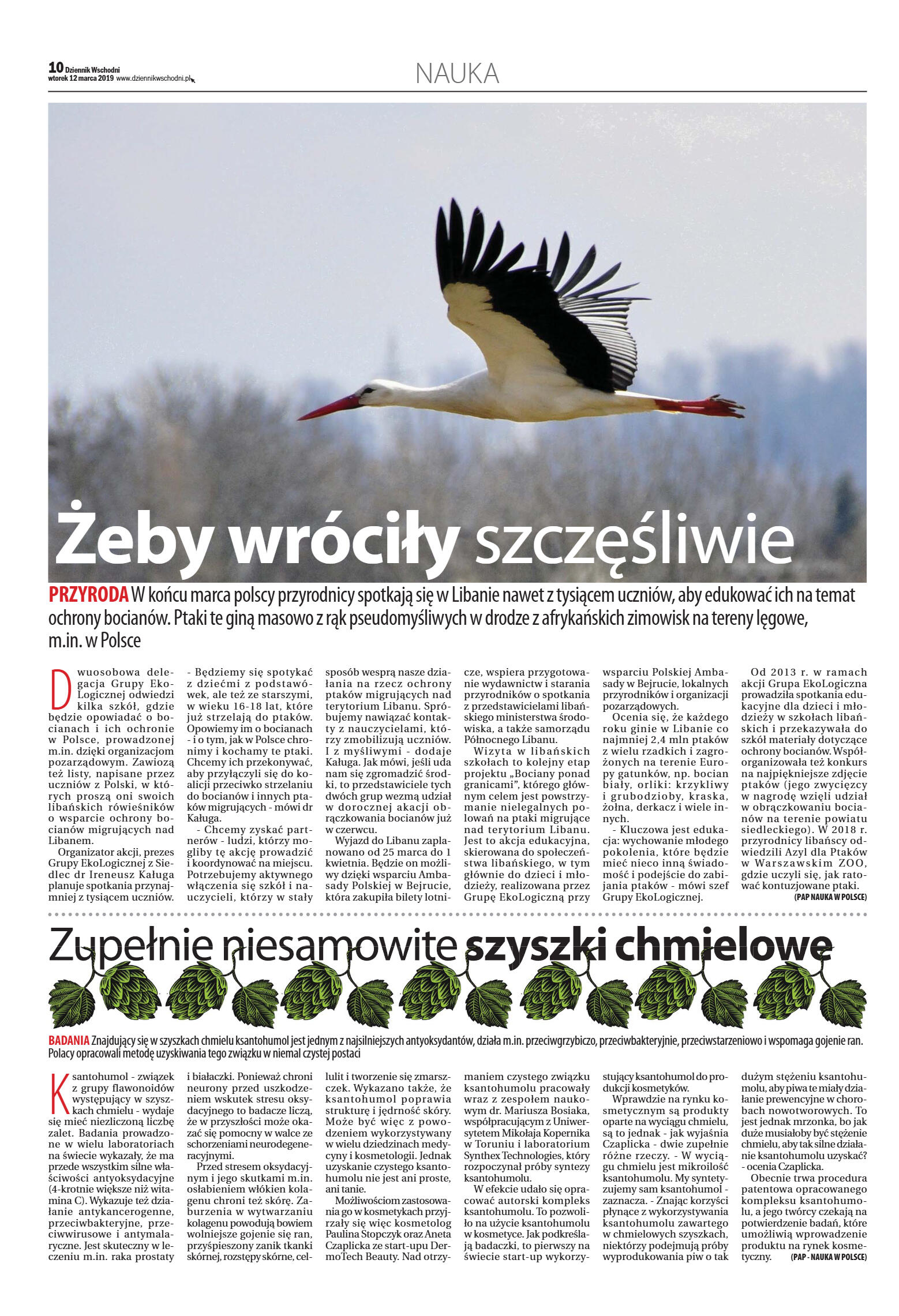 Wydanie główne - strona 10