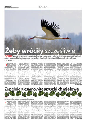 Wydanie główne - strona 10