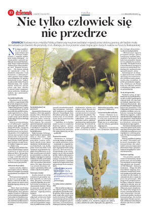 Wydanie główne - strona 10