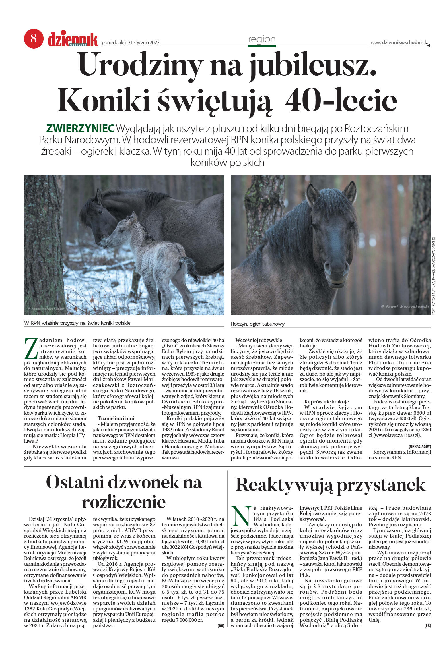 Wydanie główne - strona 8