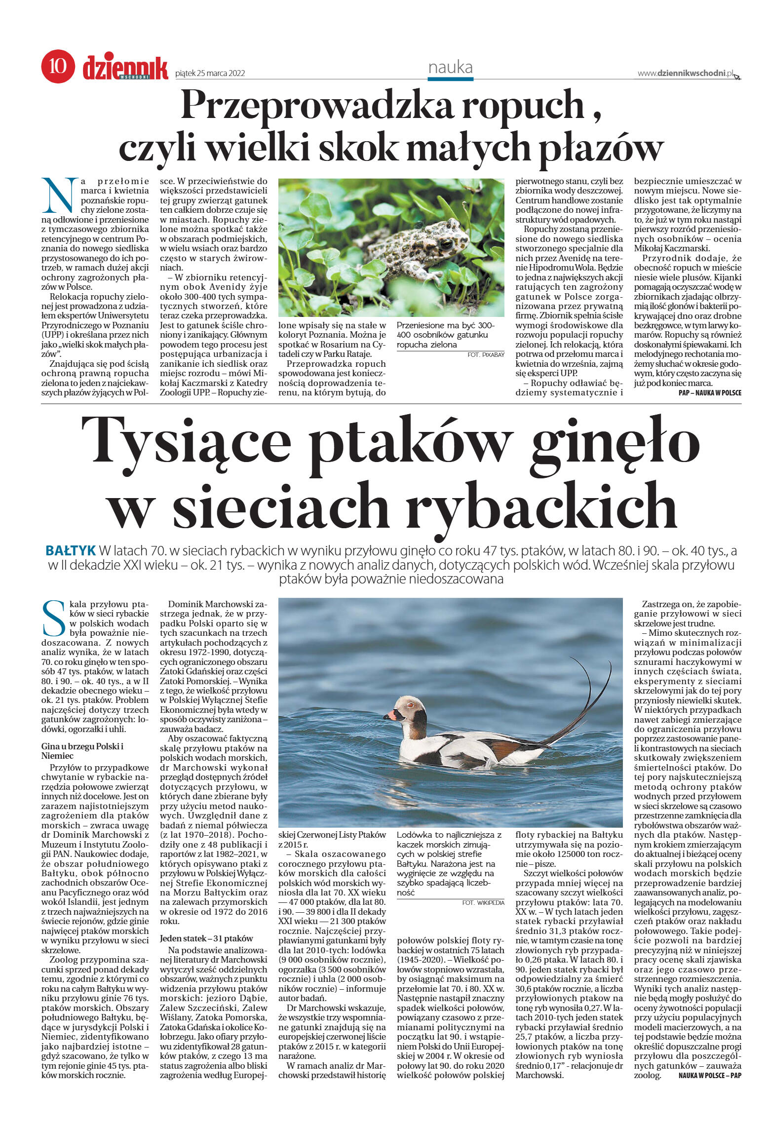 Wydanie główne - strona 10