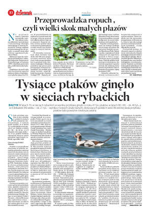 Wydanie główne - strona 10