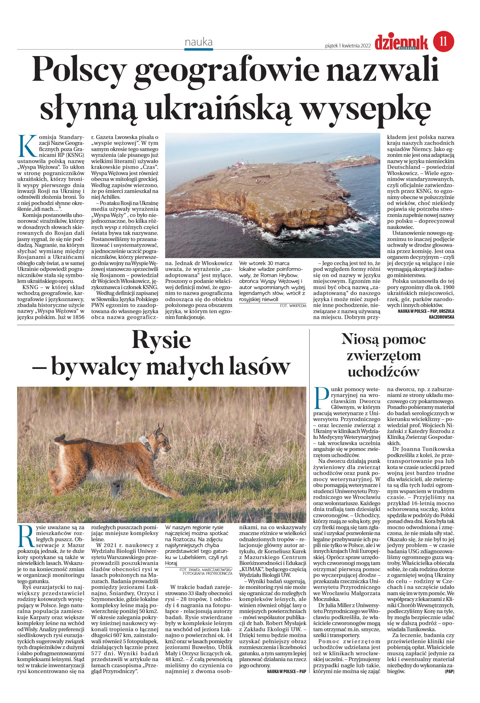 Wydanie główne - strona 11