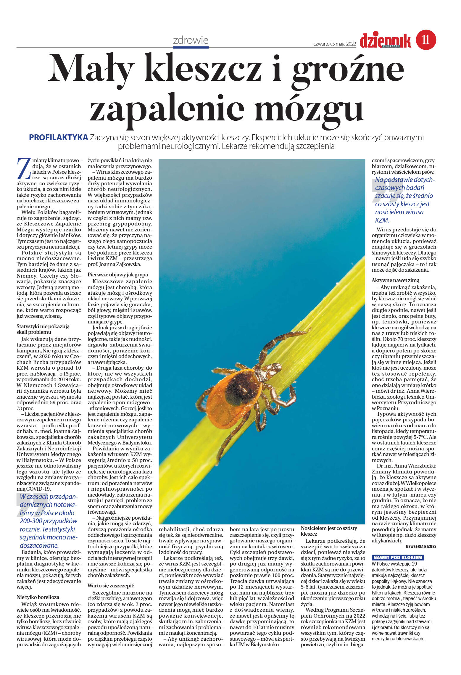 Wydanie główne - strona 11