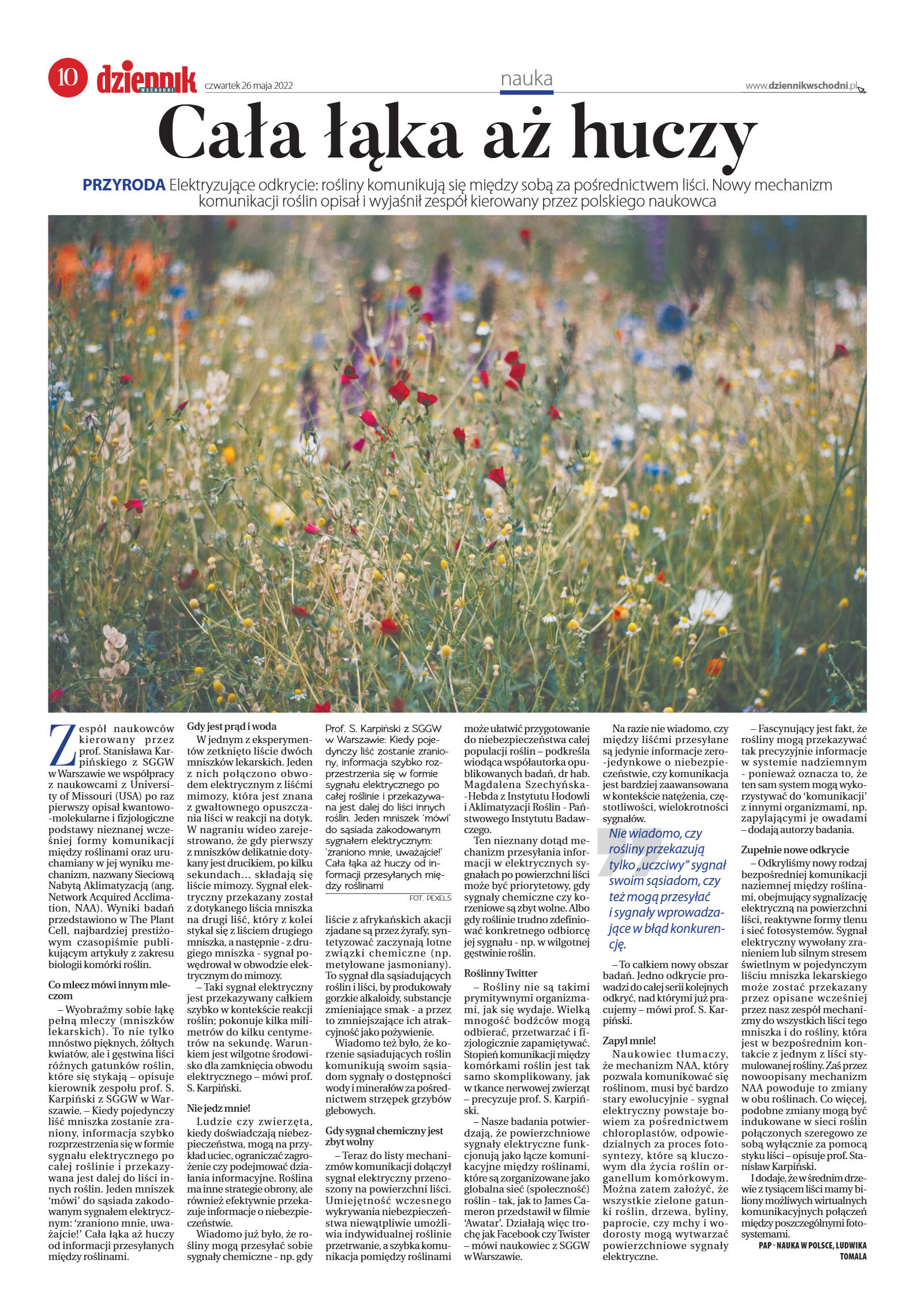 Wydanie główne - strona 10