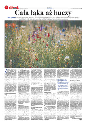 Wydanie główne - strona 10