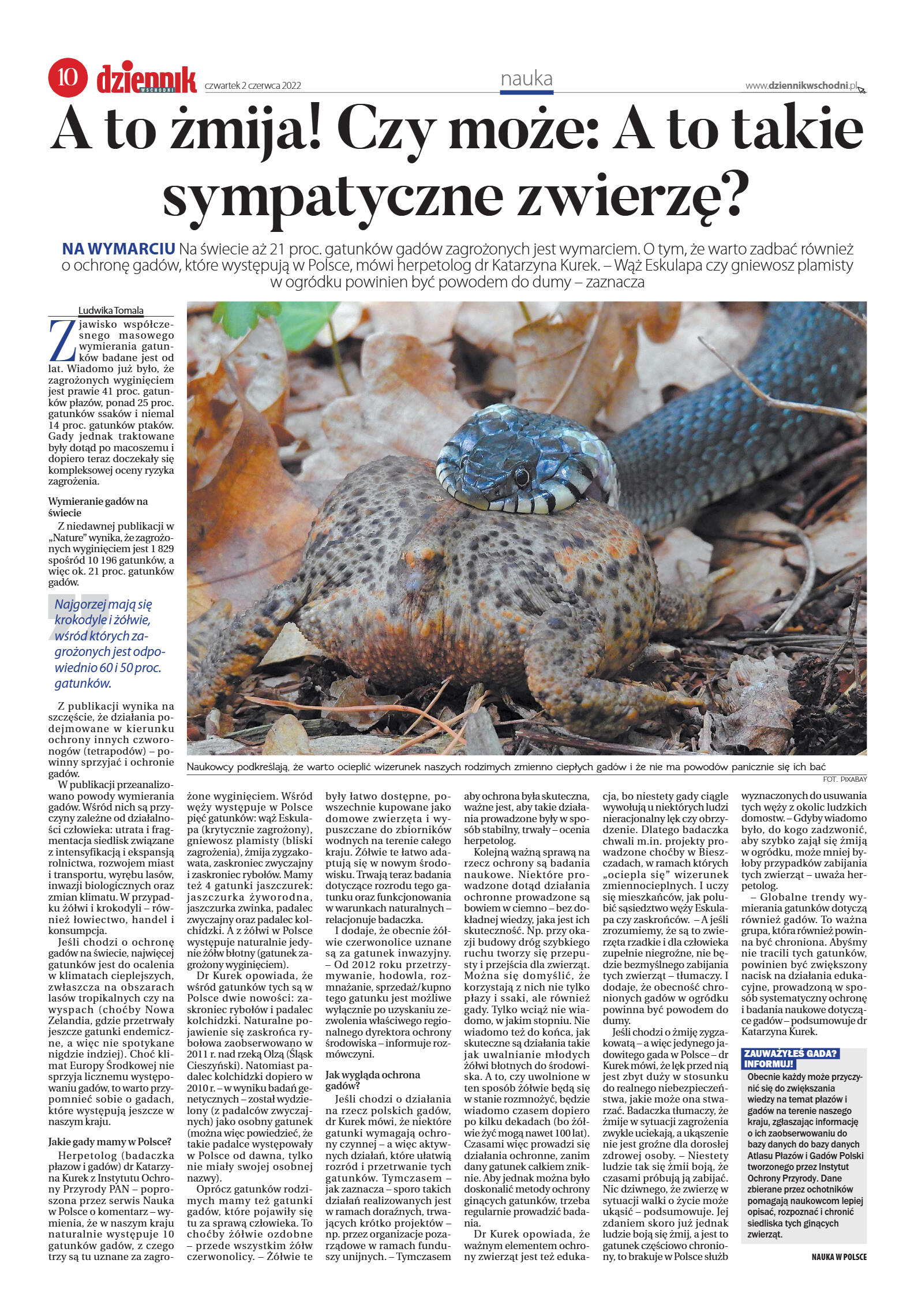 Wydanie główne - strona 10