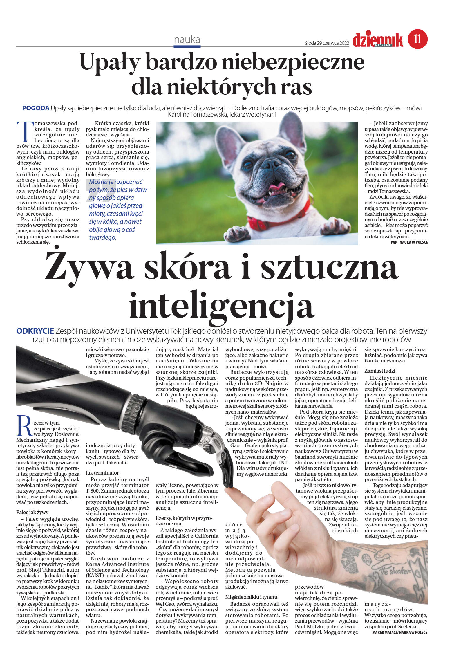 Wydanie główne - strona 11