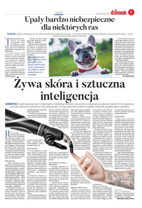 Wydanie główne - strona 11