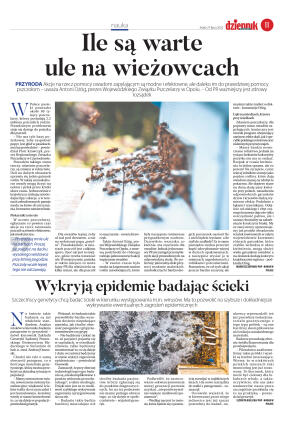 Wydanie główne - strona 11