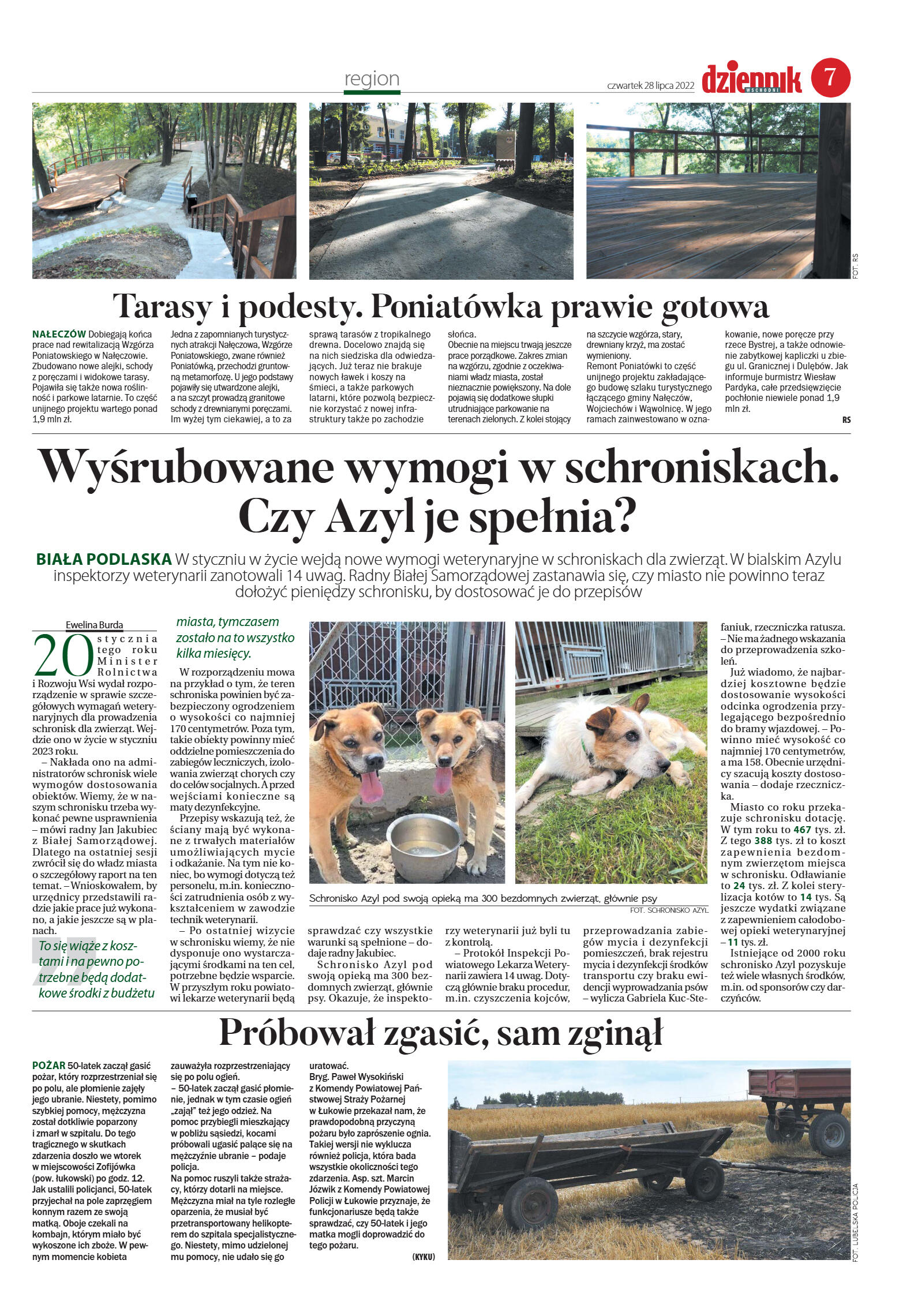 Wydanie główne - strona 7