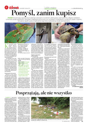 Wydanie główne - strona 6