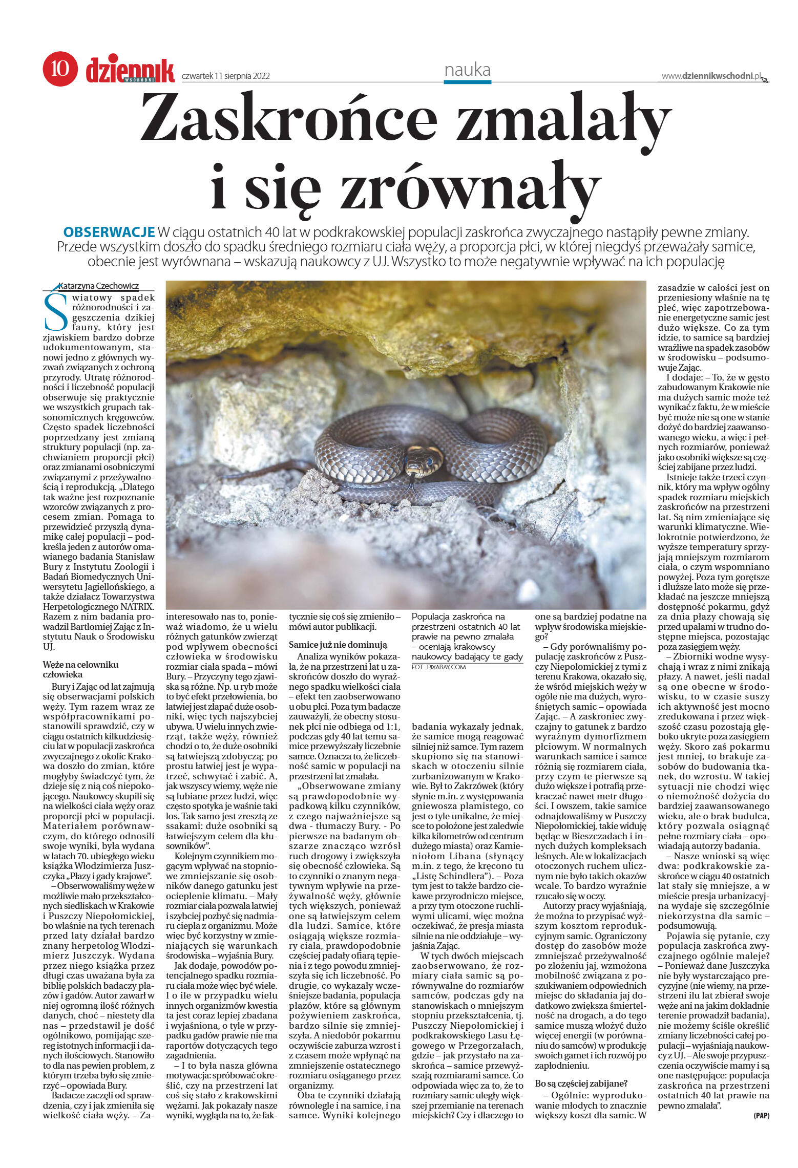 Wydanie główne - strona 10