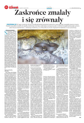 Wydanie główne - strona 10