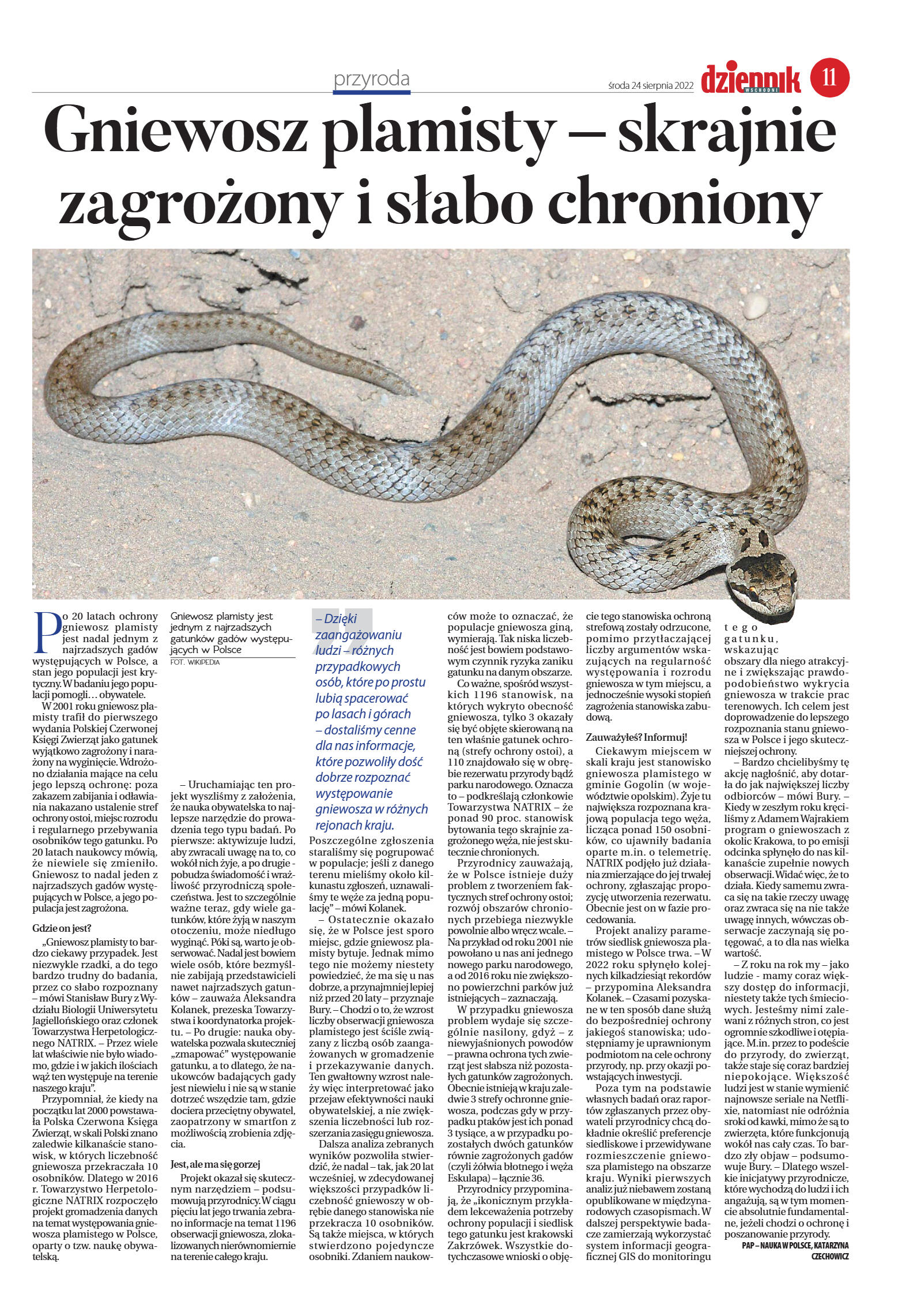 Wydanie główne - strona 11