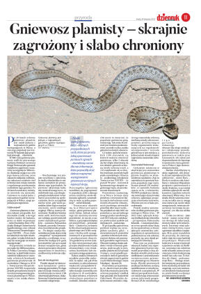 Wydanie główne - strona 11