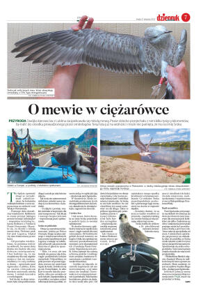 Wydanie główne - strona 7