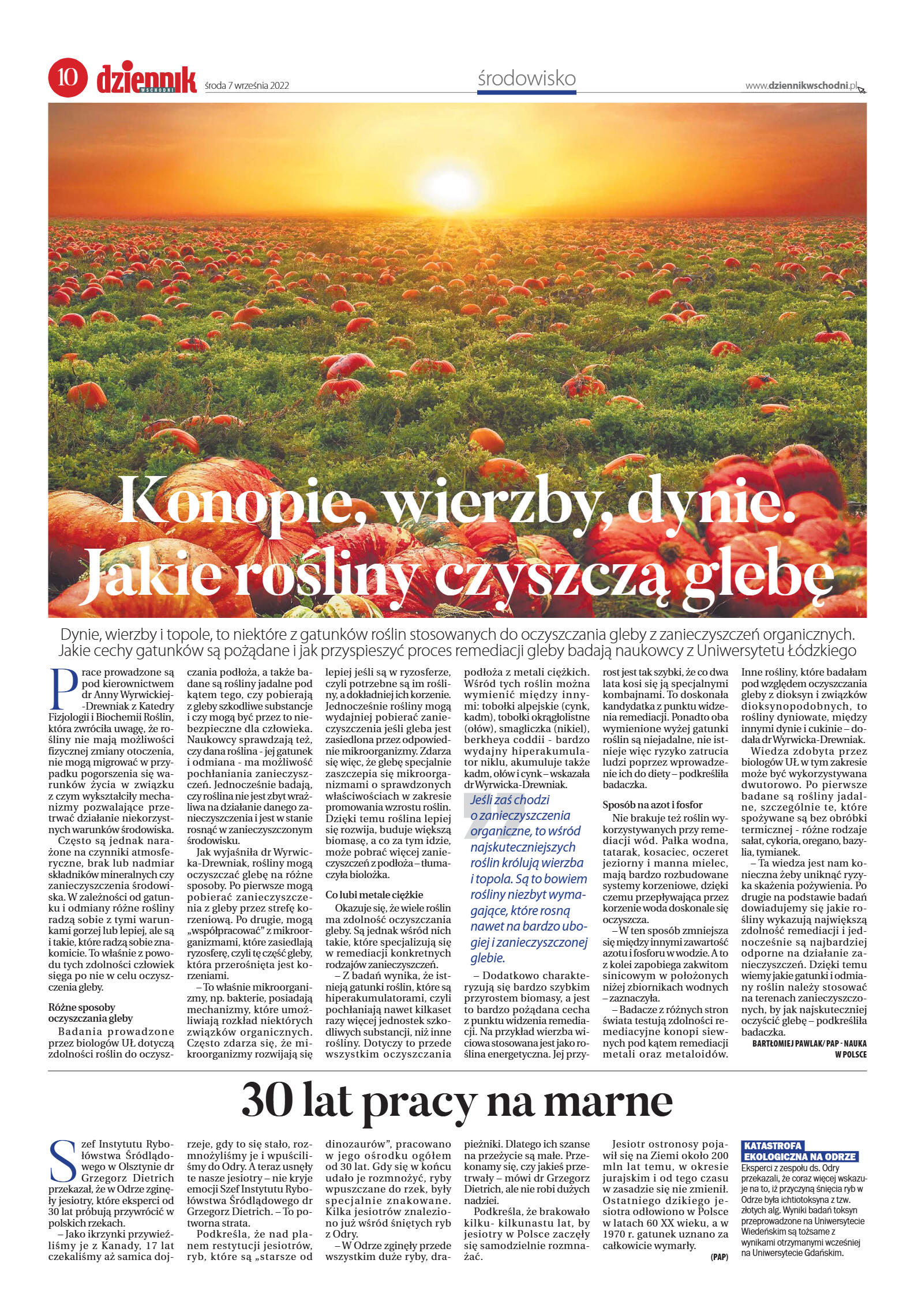 Wydanie główne - strona 10