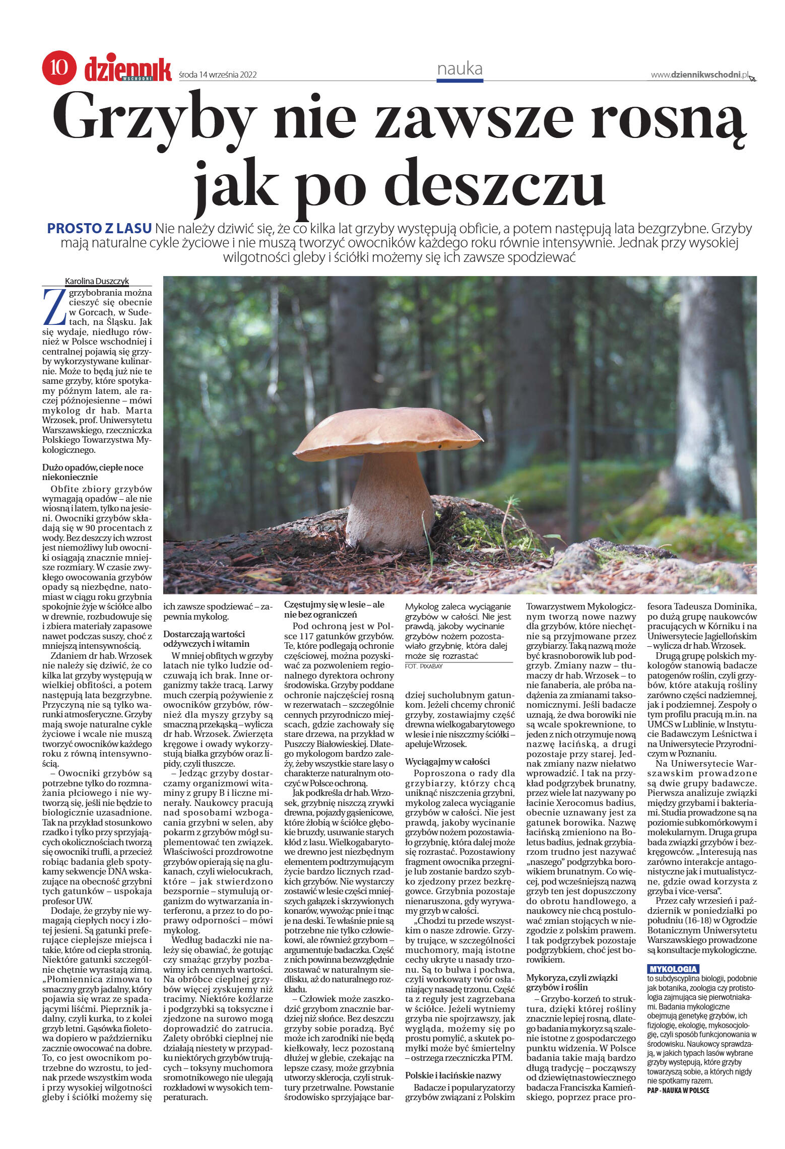 Wydanie główne - strona 10