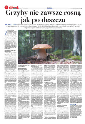 Wydanie główne - strona 10