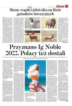 Wydanie główne - strona 11