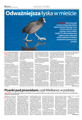 Wydanie główne - strona 10