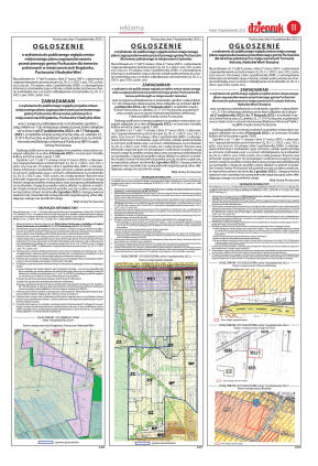 Wydanie główne - strona 11