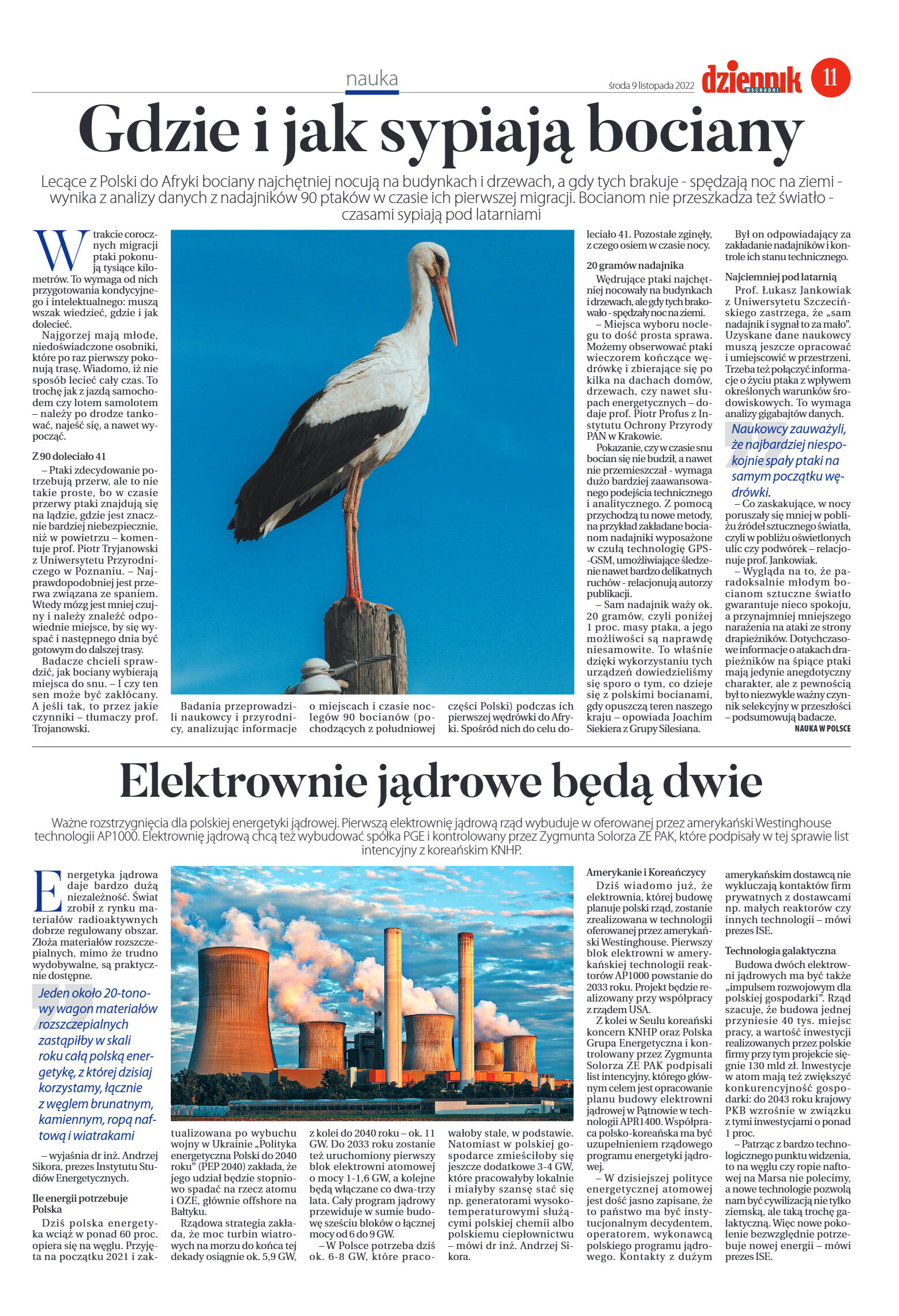 Wydanie główne - strona 11