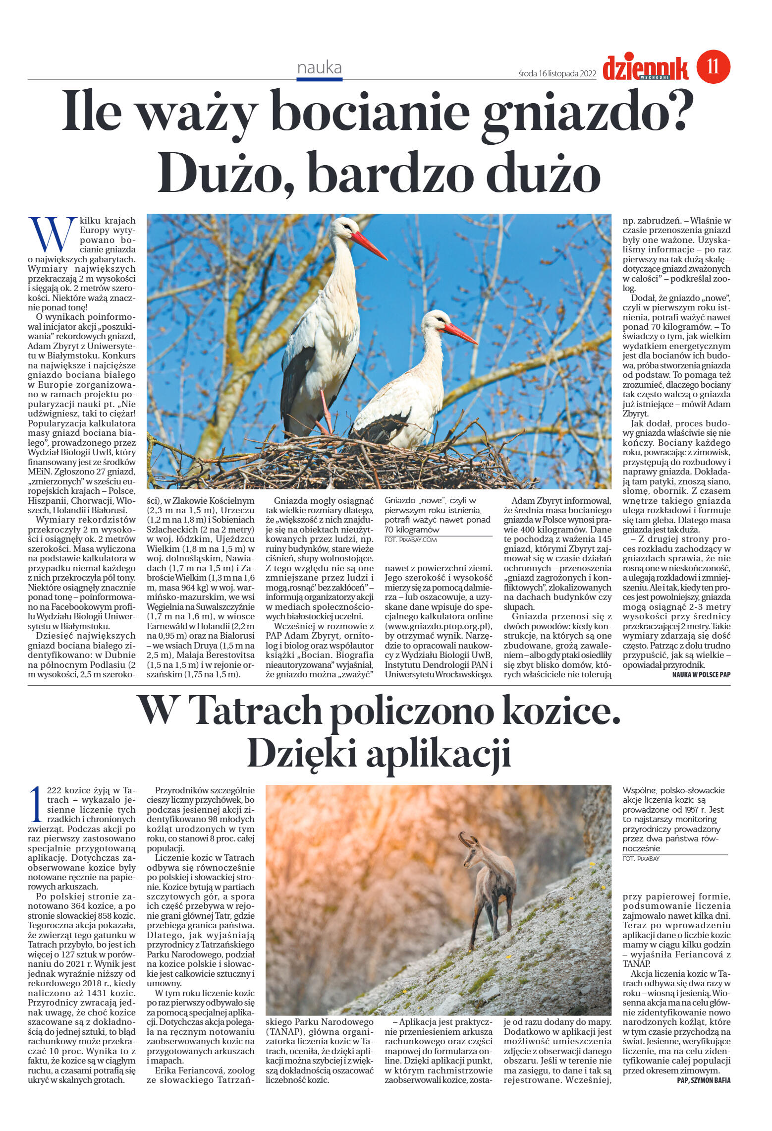 Wydanie główne - strona 11