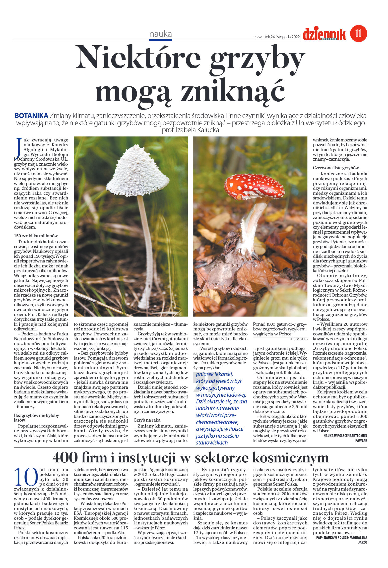 Wydanie główne - strona 11