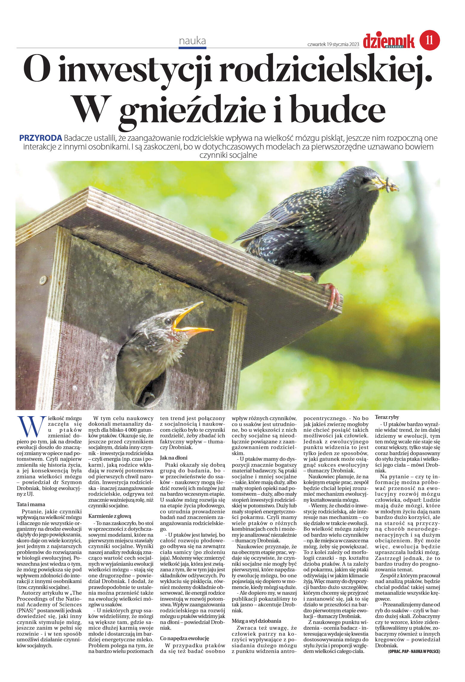 Wydanie główne - strona 11