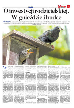 Wydanie główne - strona 11