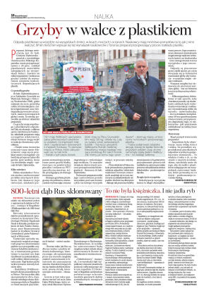 Wydanie główne - strona 10