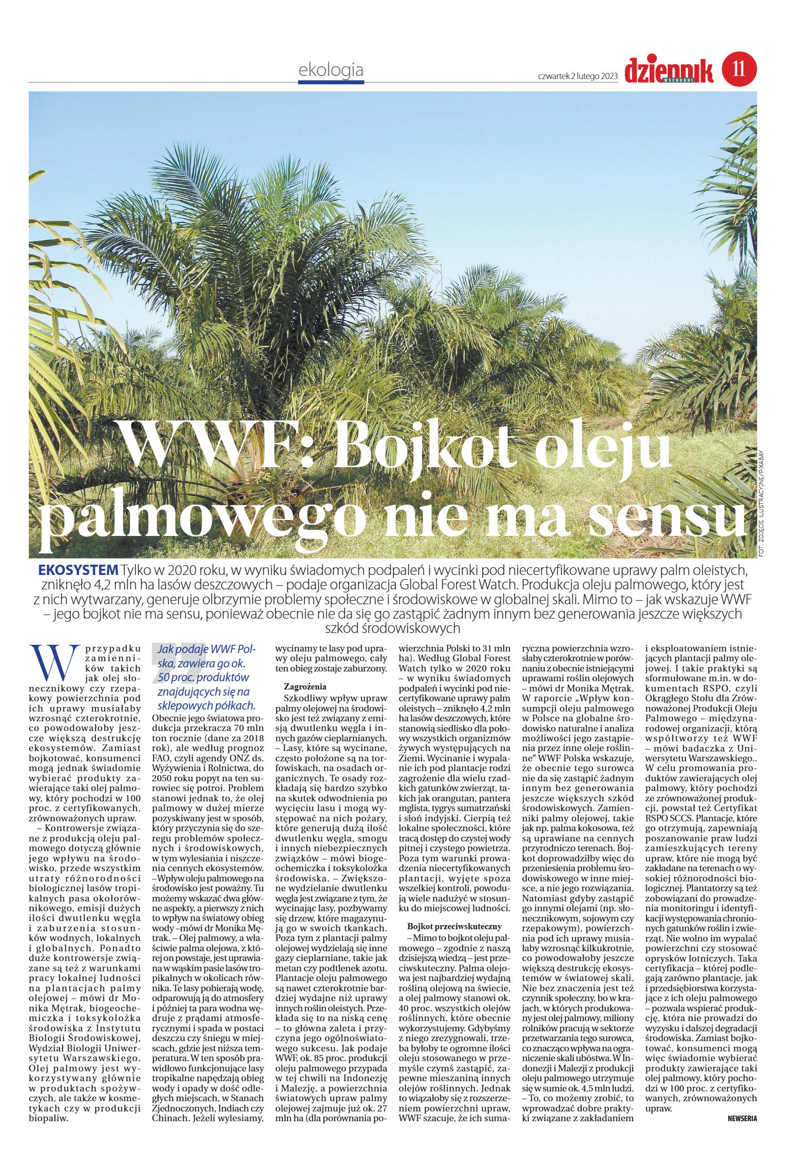 Wydanie główne - strona 11