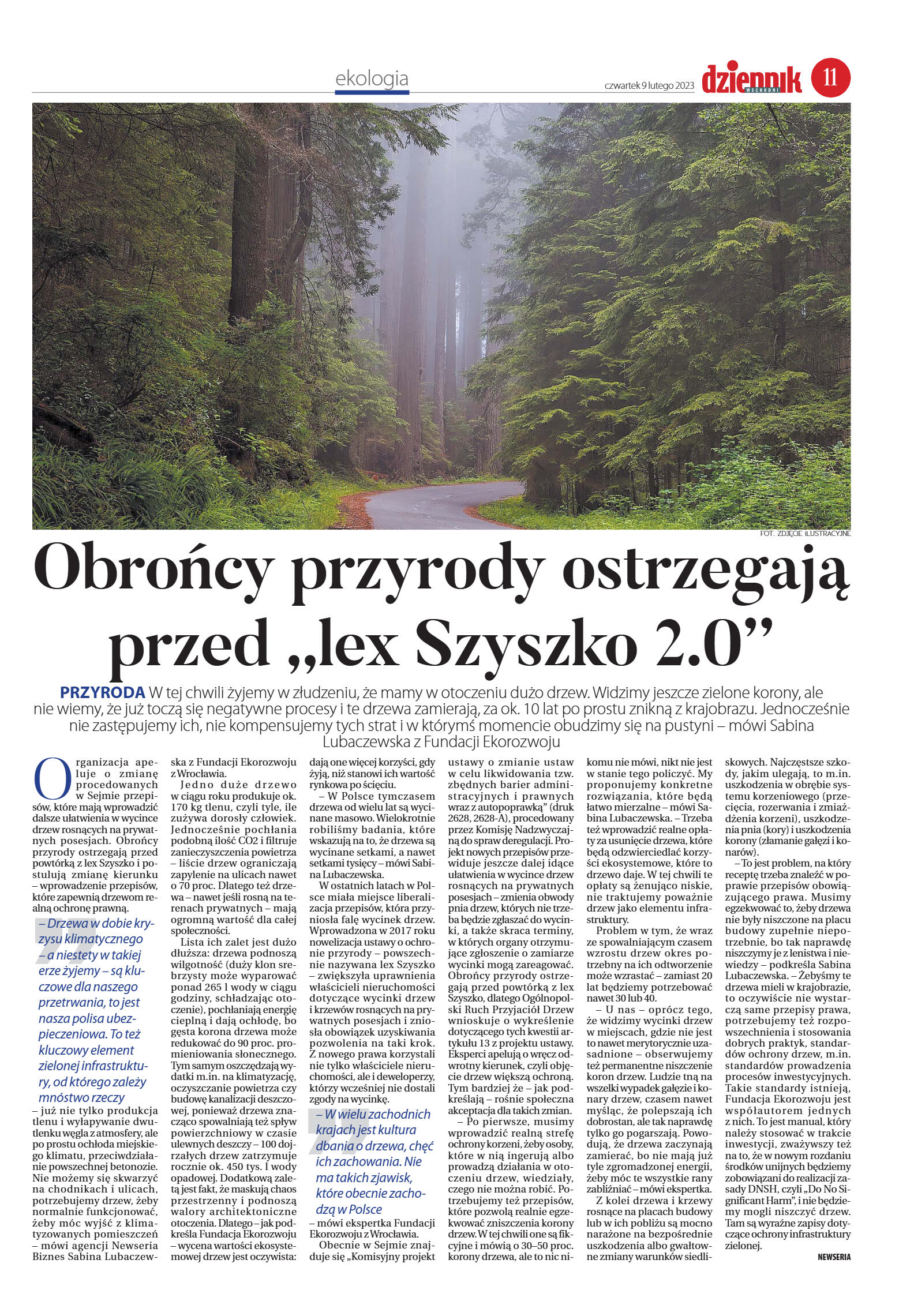 Wydanie główne - strona 11