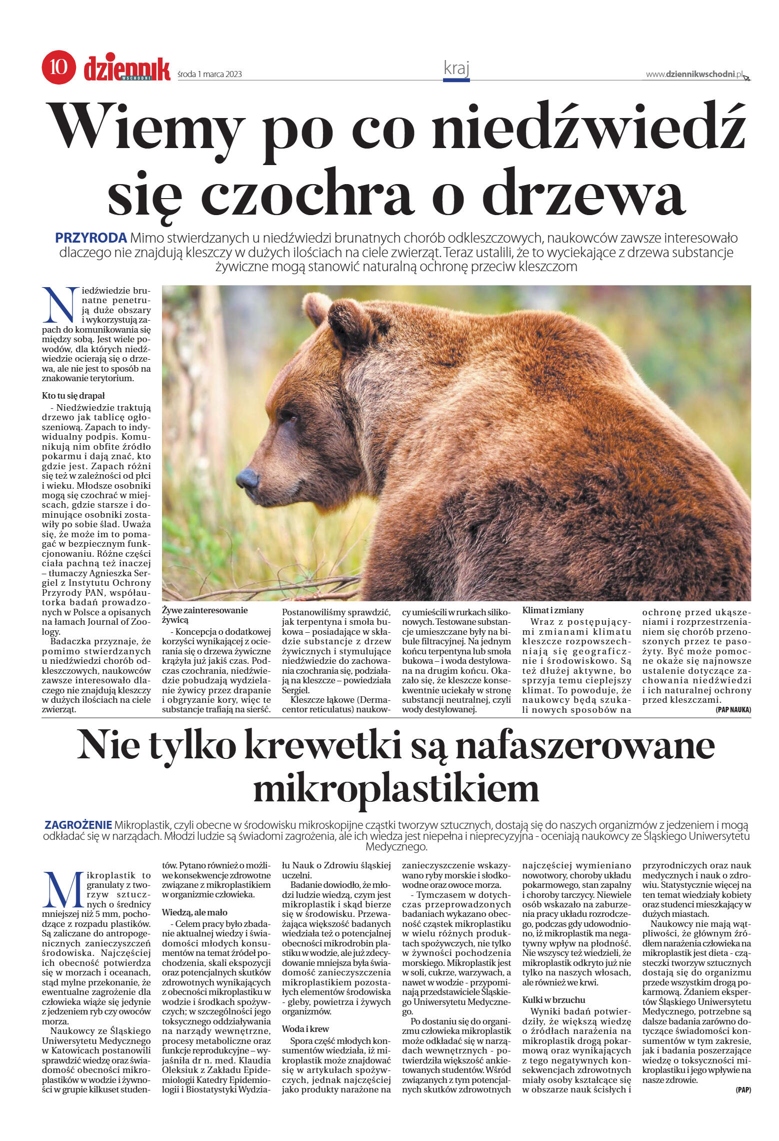 Wydanie główne - strona 10